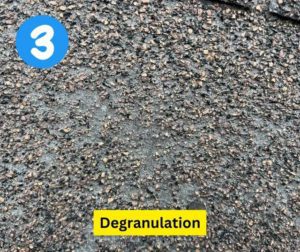 3degranulation 640w