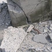 Picture1 1920w