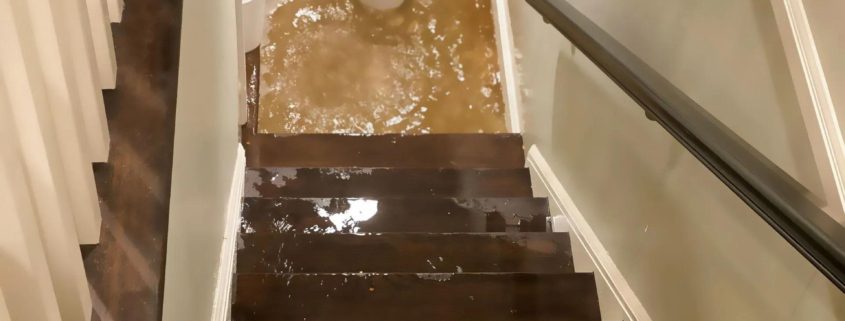 Preventing Water Damage in Your Basement