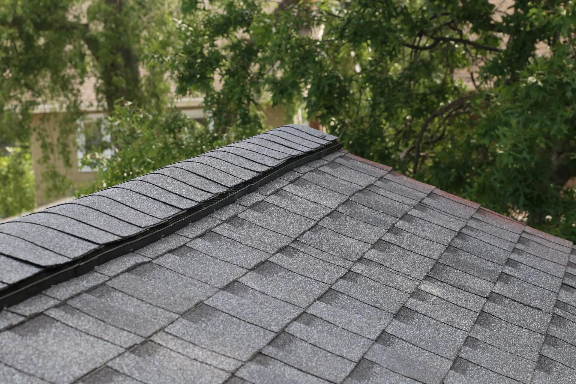 comprehensive roofing service and the waterproofing solution you wish you had