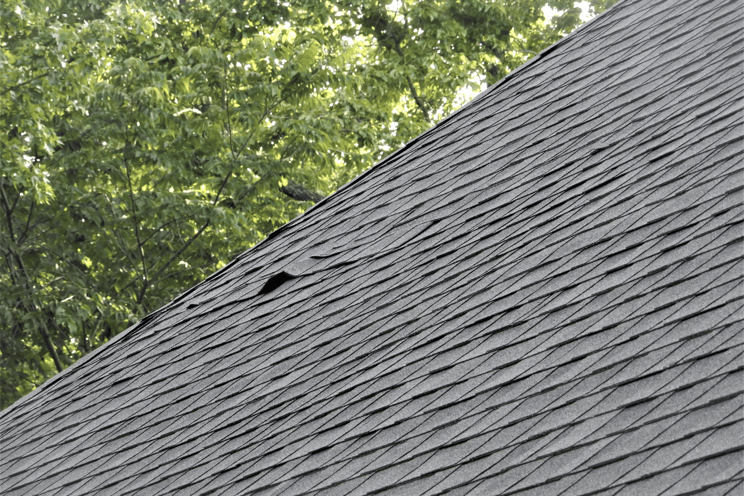 An illustration of essential tools for shingle repair, including a utility knife, and roofing nails. 