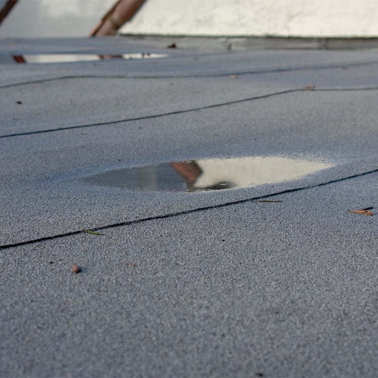 Ponding on a flat roof is a trigger warning