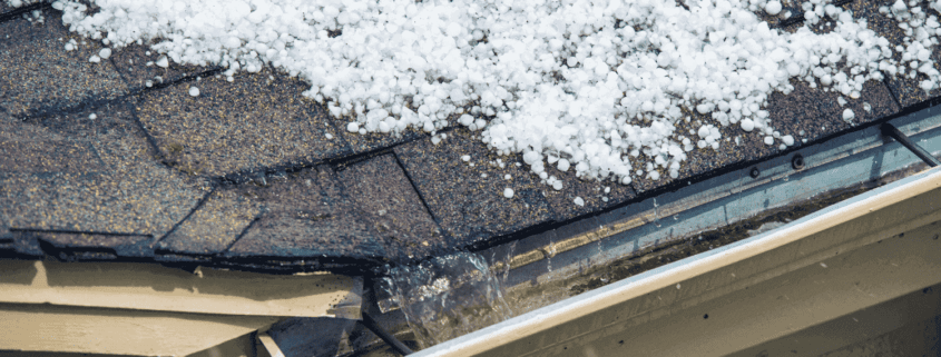A professional roofing contractor inspecting a hail-damaged roof