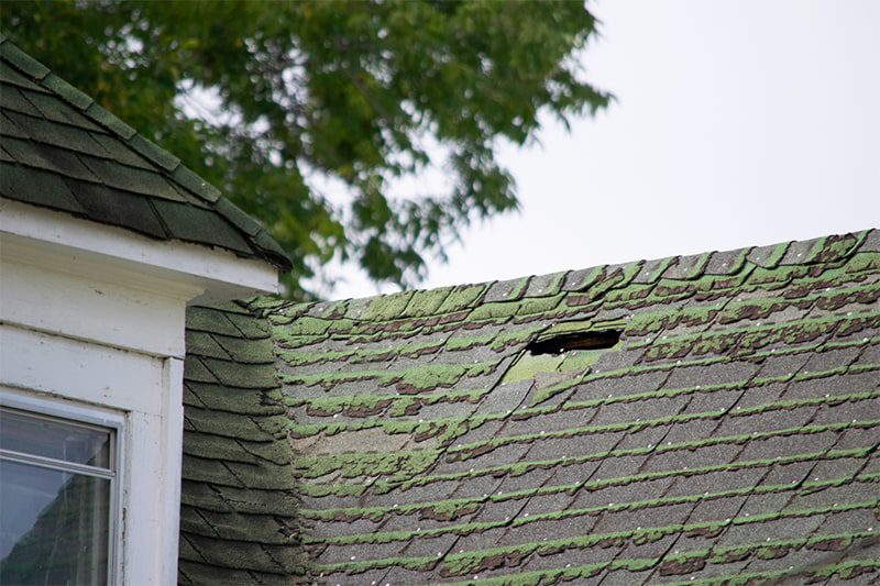 Signs You Need a Roof Inspection in plymouth min
