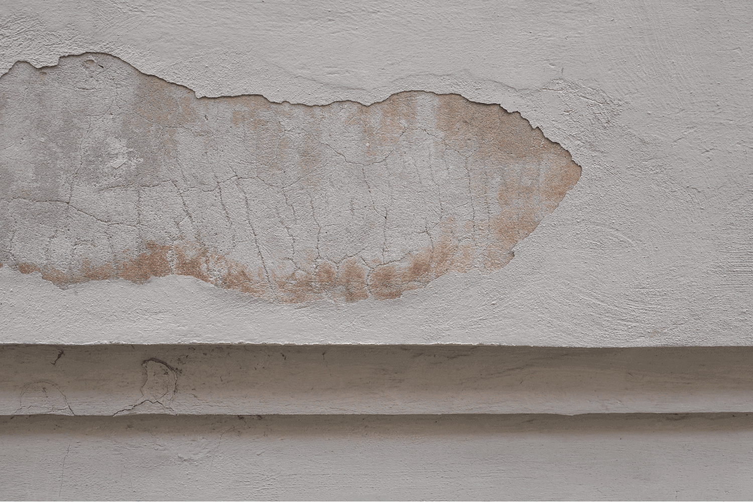 Signs of water seepage in a basement, including wet spots and mold growth