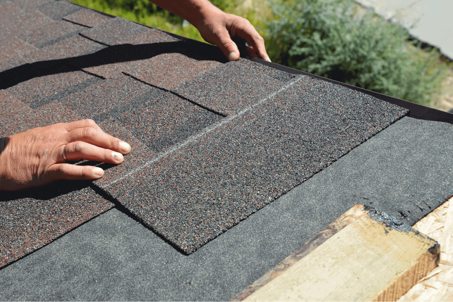 The first row of newly installed asphalt shingles on a roof