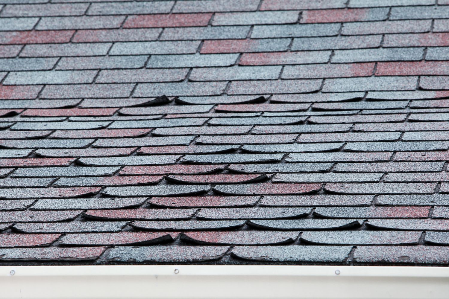 curling shingles