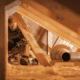 A person inspecting an attic for insulation and ventilation issues.
