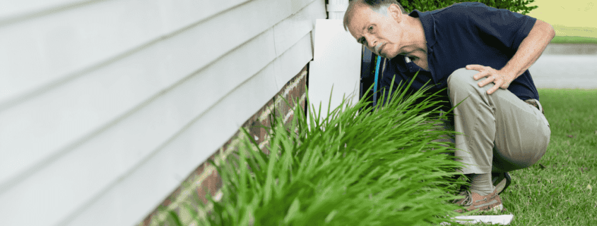 Preventative measures to avoid foundation cracks, such as proper drainage.