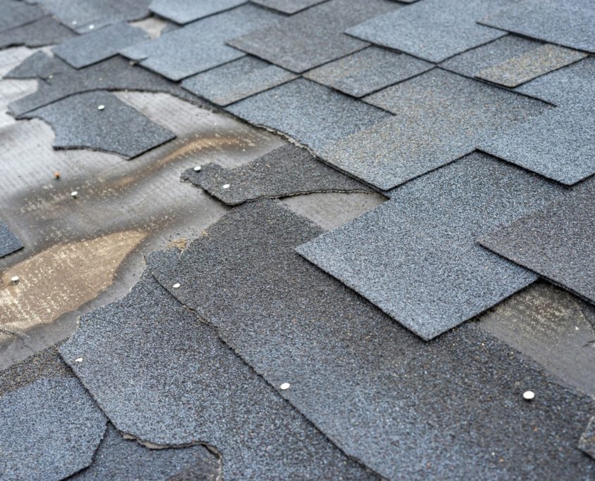 damaged shingle roof