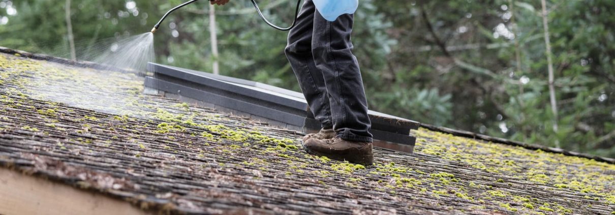 Hail Damage Myths Busted: Roofing Realities for Northern Indiana & Southern Michigan Homes 8 moss roof
