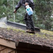 moss roof