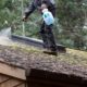 moss roof