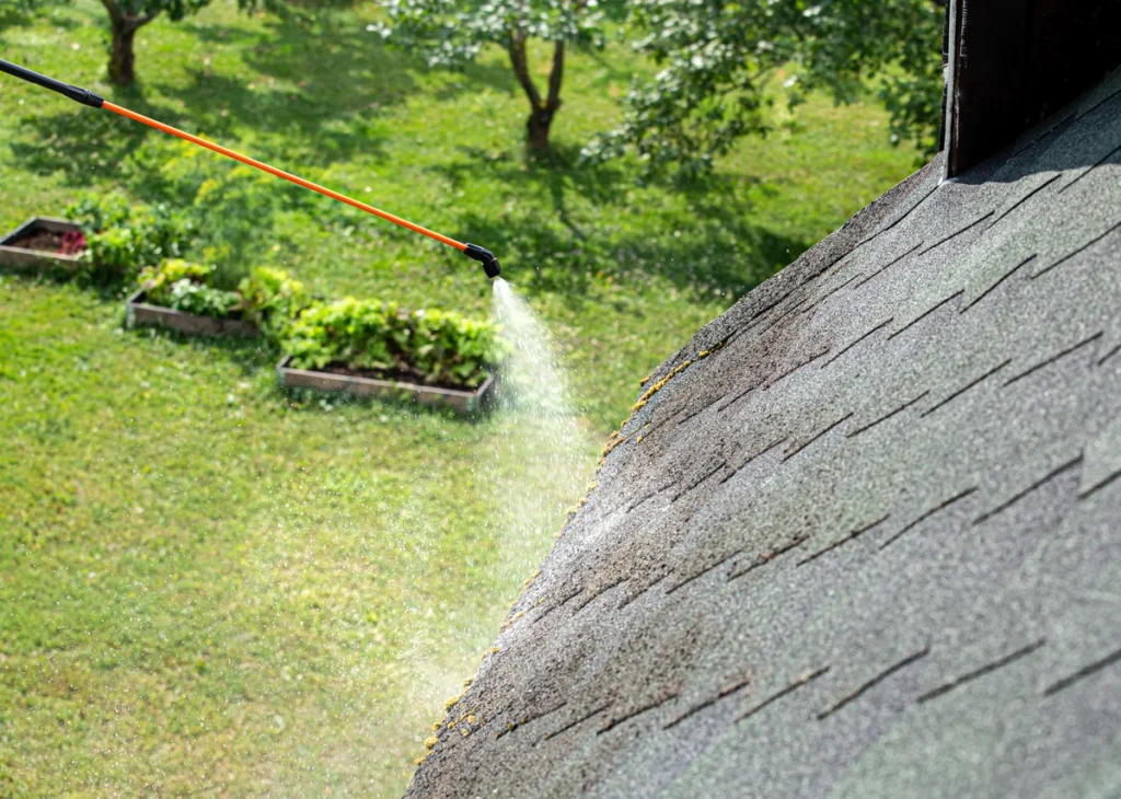 How To Get Moss Off Your Roof: Effective Ways in the Northern Indiana Area 4 moss roof cleaning